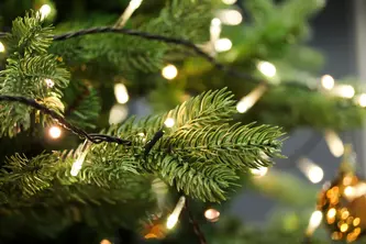 Hoeveel lampjes in de kerstboom?